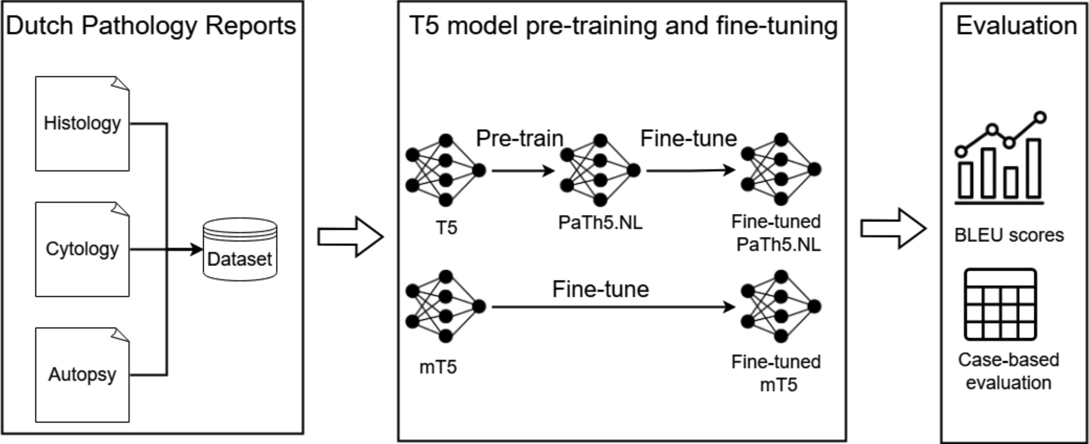Siepel-etal-2025_Fig1.jpg